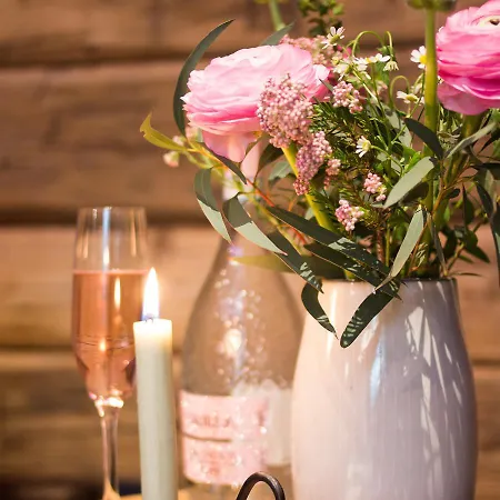 公寓式酒店 Stadl